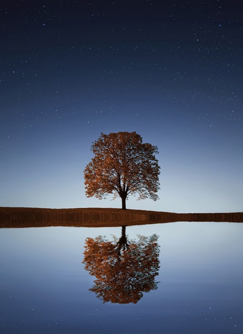 This is how to strengthen your intuition – and Why