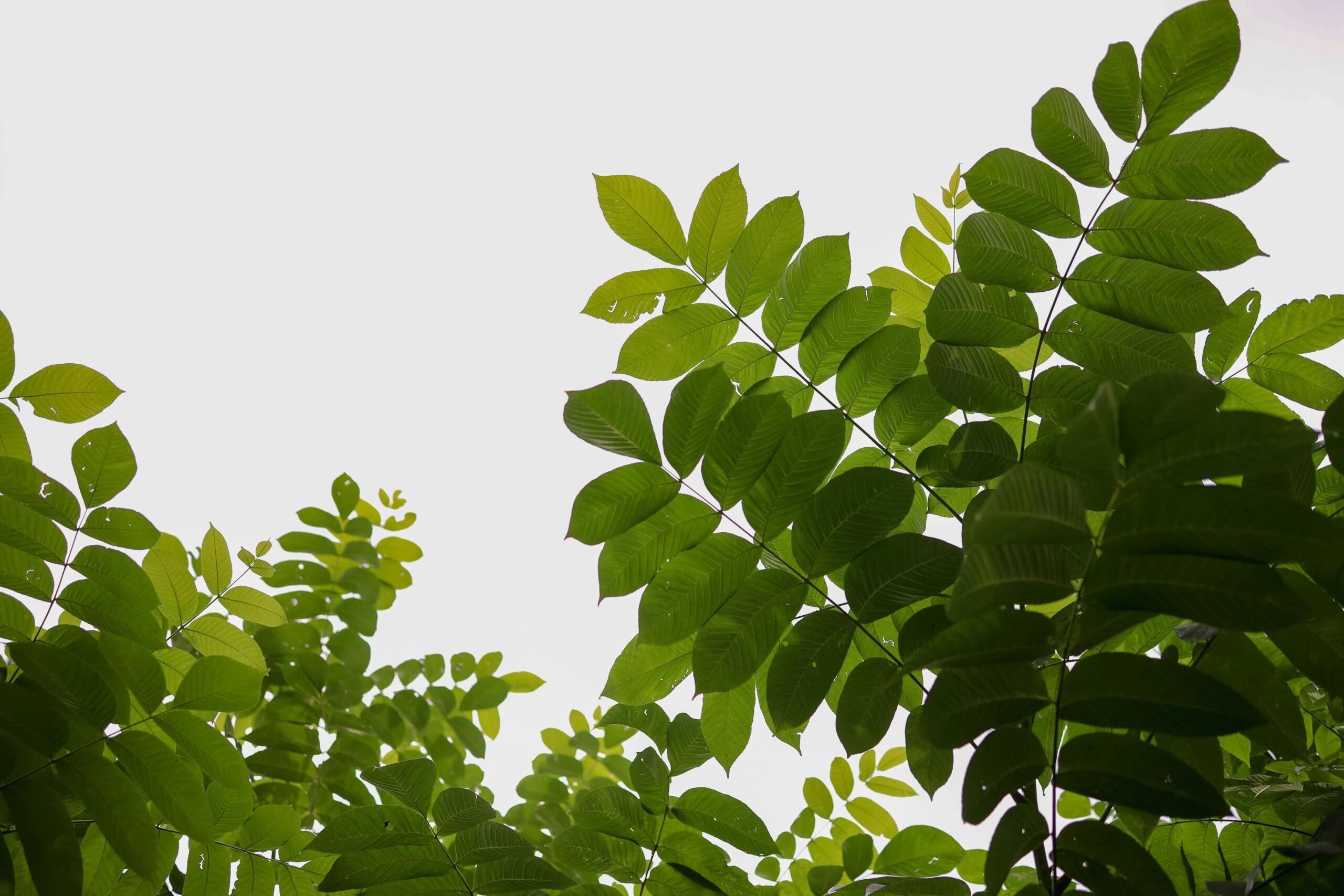 Do we ever stop growing? And should we?