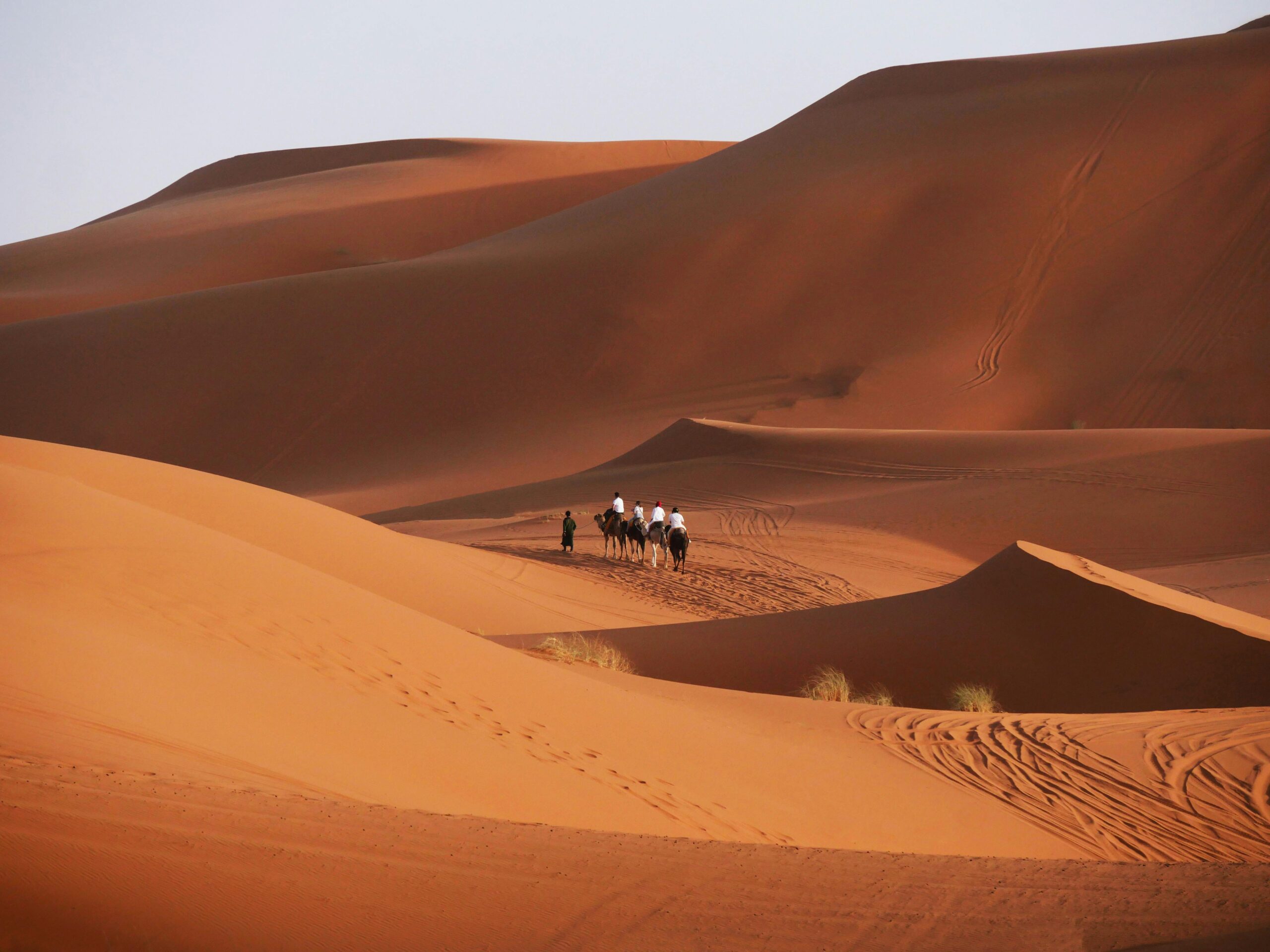 The Power (and Art) of Travel